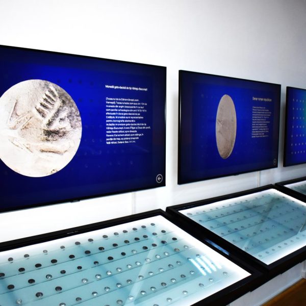 buzau_county_museum (1)