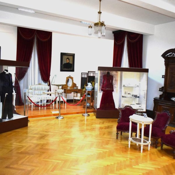 buzau_county_museum (4)