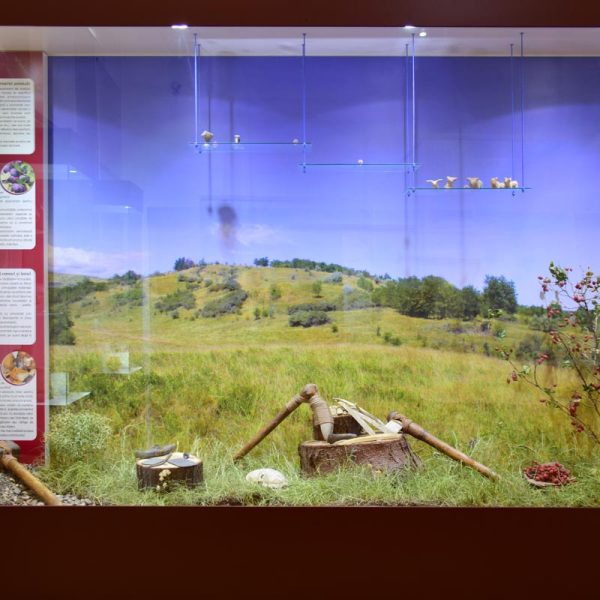 buzau_county_museum (7)