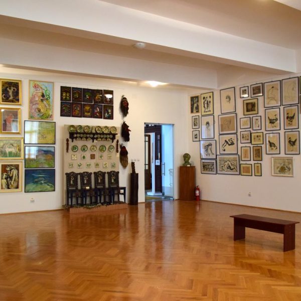buzau_county_museum (8)
