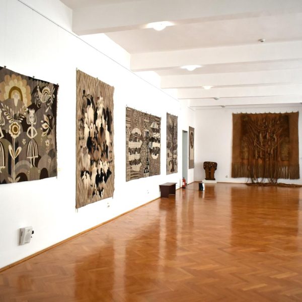 buzau_county_museum (9)